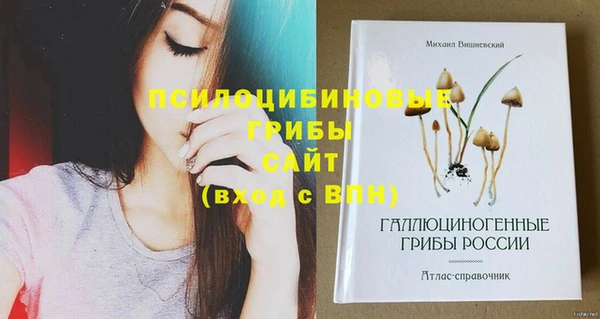MDMA Михайловка