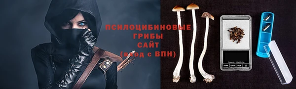 соль курить ск Надым