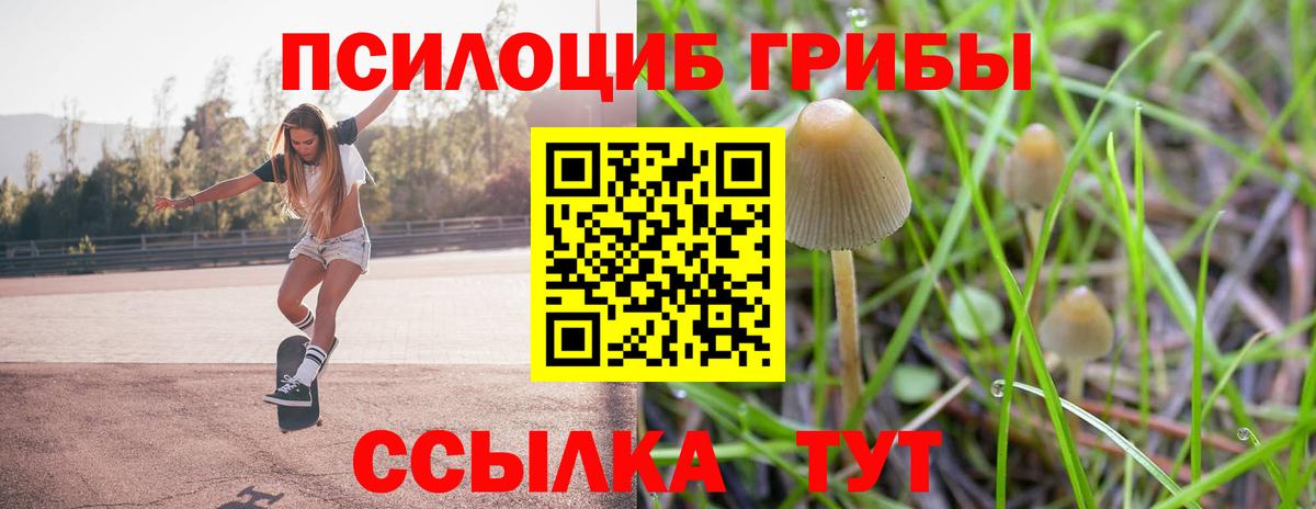 Псилоцибиновые грибы ЛСД Нальчик