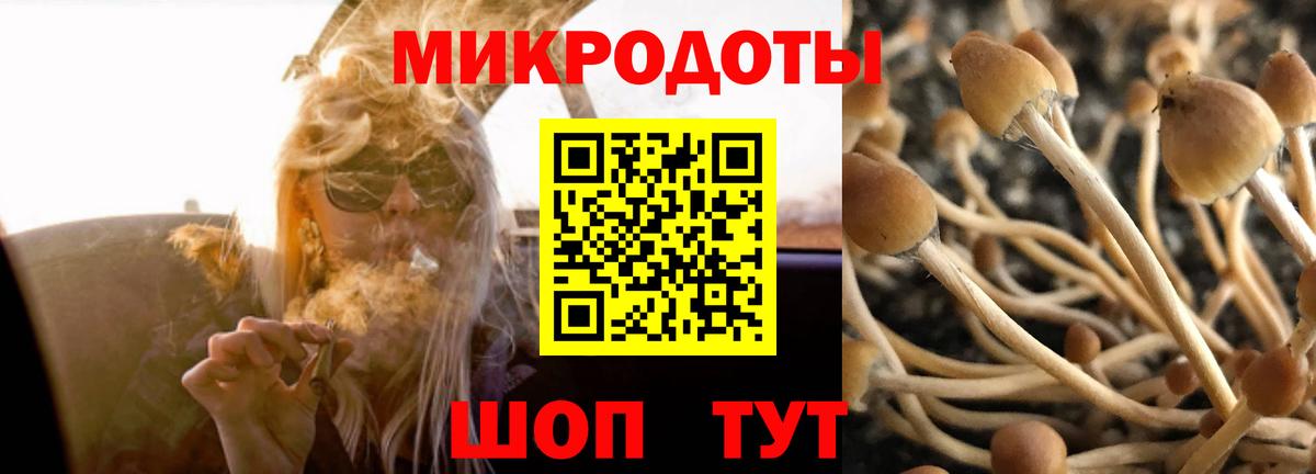 Нальчик  Галлюциногенные грибы GOLDEN TEACHER  Вход с VPN 