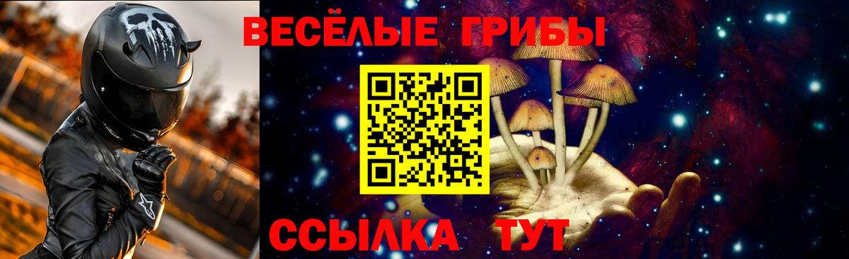 Псилоцибиновые грибы Нальчик